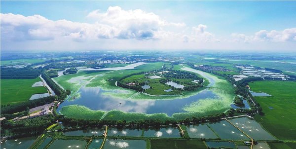 牛客栈策略 秋日韵正浓 新民宠客忙