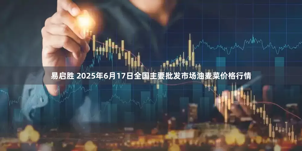 易启胜 2025年6月17日全国主要批发市场油麦菜价格行情